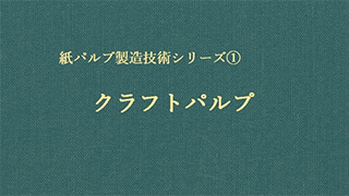 日本の紙 全一巻二冊 未使用 当店限定販売 www.lsansimon.com